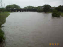 Beeville 2001 August 21 Flooding DCP_0726.JPG (207069 bytes)