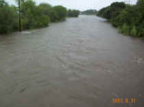 Beeville 2001 August 21 Flooding DCP_0728.JPG (214704 bytes)