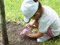 sBeeville TX  2001 July 4_9535h.jpg (54144 bytes)