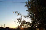 Beeville Sunrise 2001 11November 06 54 a DCP_1495.JPG (55432 bytes)